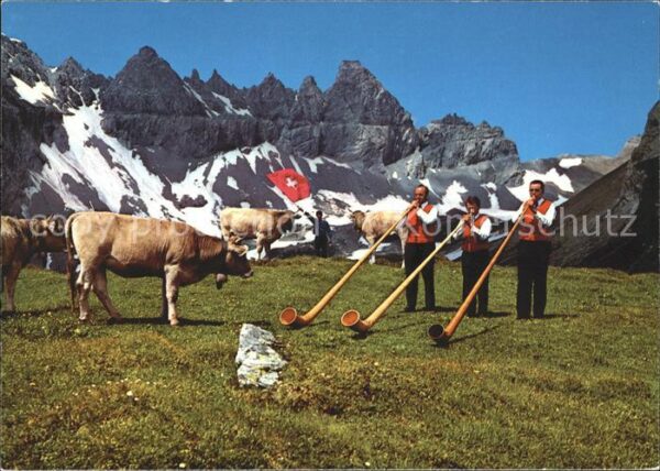 Alphorn Alphornbläser Fahnenschwinger Kühe