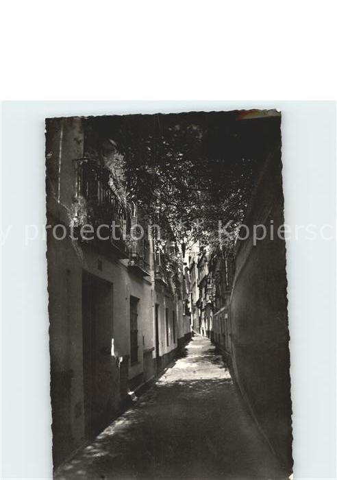 Sevilla Andalucia Calle Pimienta
