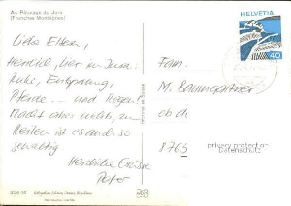 Pferde Paturage du Jura Franches Montagnes – Bild 2