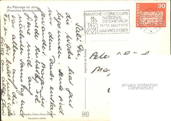 Pferde Paturage du Jura – Bild 2
