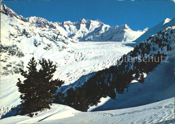 Gletscher Grosser Aletschgletscher Riederalp Bett