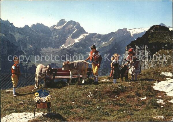 Kuehe Kalb Kinder Trachten Ebenalp Appenzell