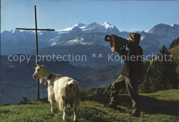 Ziege Betruf Senn Wetterhorngruppe
