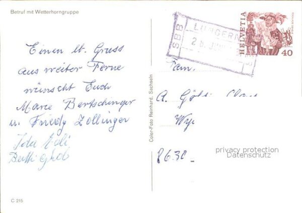 Ziege Betruf Senn Wetterhorngruppe – Bild 2