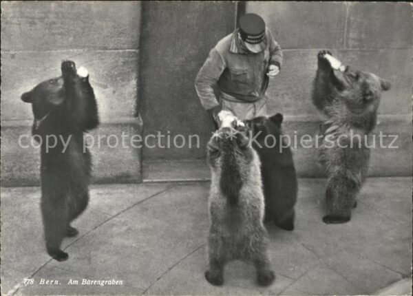 Baeren Bern Bärengraben Tierpfleger