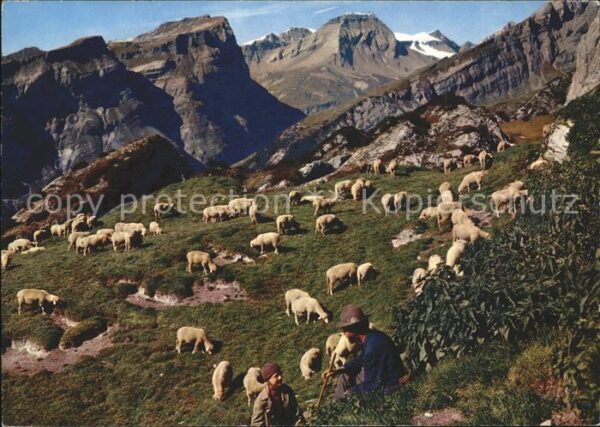 Schafe Hirte Flims Alp Mora Flimserstein Piz D