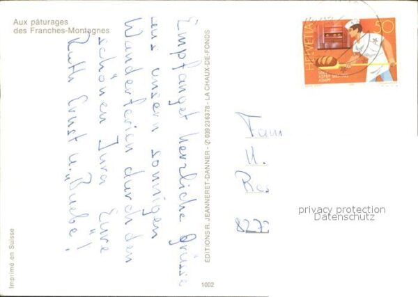 Pferde Paturage Franches-Montagnes – Bild 2