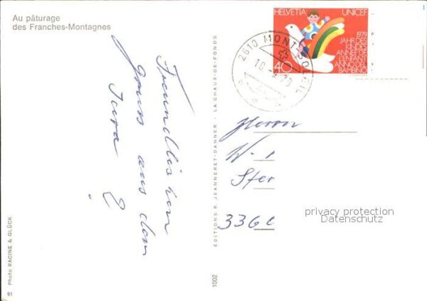 Pferde Paturage Franches-Montagnes – Bild 2