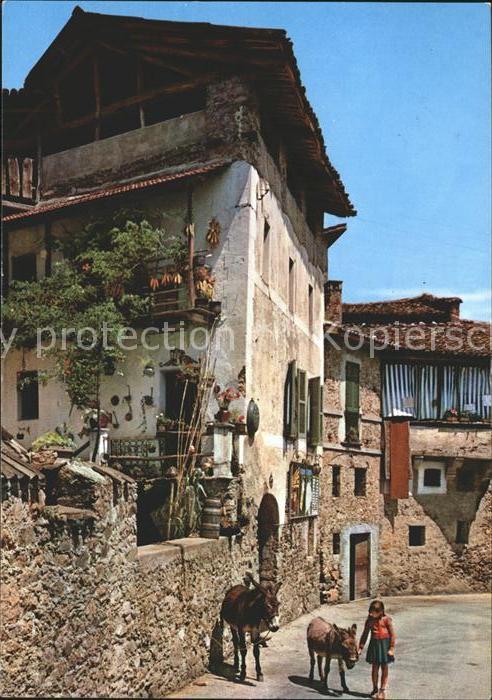 Esel Tiere Altes Tessinerhaus Rustico Ticinese