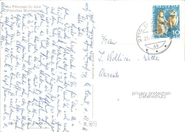 Pferde Paturage du Jura Franches Montagnes – Bild 2