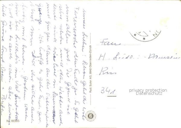 Murmeltier Samnaun – Bild 2