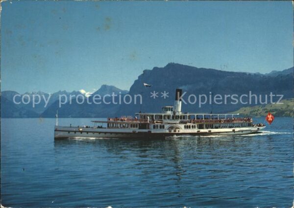 Dampfer Schaufelrad Uri Vierwaldstättersee