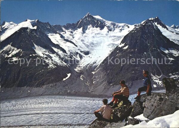 Gletscher Grosser Aletschgletscher Eggishorn Geis