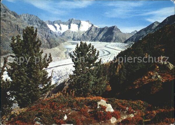 Gletscher Grosser Aletschgletscher Wannenhorn Egg