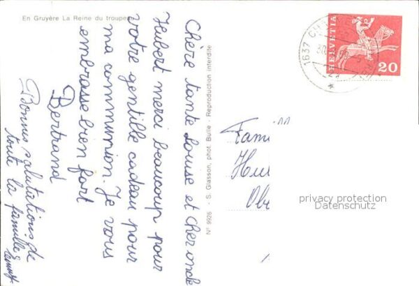 Kuehe Gruyere La Reine du troupeau – Bild 2