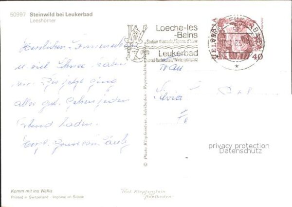 Steinbock Leukerbad Leeshörner – Bild 2