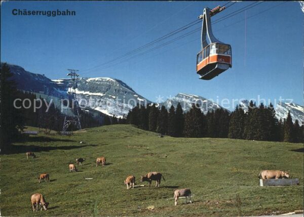 Seilbahn Chäserrugg Unterwasser Iltios Churfirst