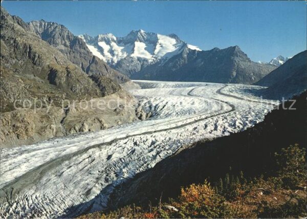 Gletscher Grosser Aletschgletscher Schönbühlhorn