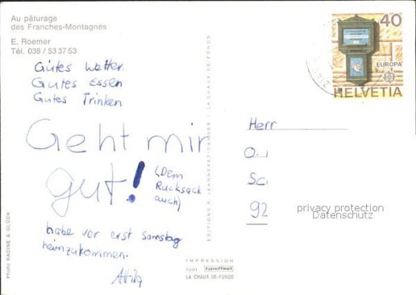 Pferde Paturage Franches-Montagnes – Bild 2