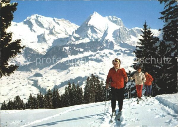 Ski-Langlauf Skiwandern Obertoggenburg Alpsteingrupp