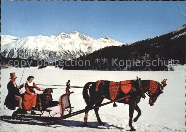 Schlitten Schnee Pferdeschlitten Engadin Schlittengespan