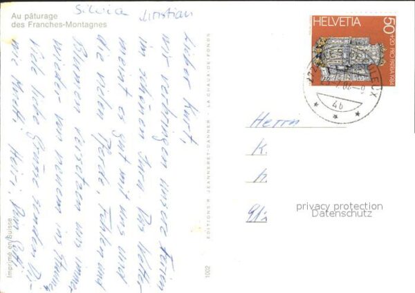 Pferde Paturage Franches-Montagnes – Bild 2