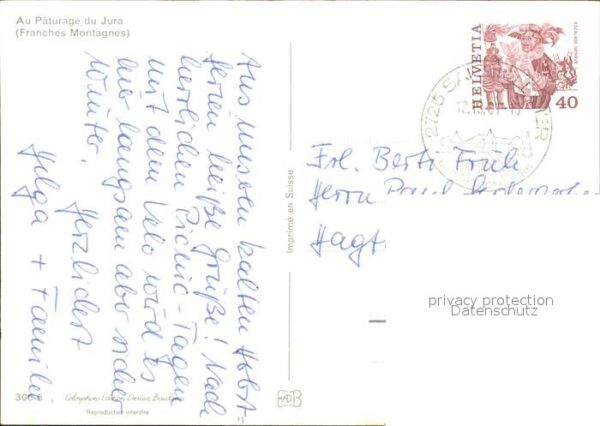 Pferde Paturage du Jura Franches Montagnes – Bild 2