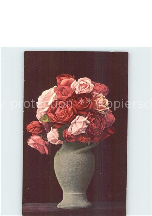 Rosen Vase
