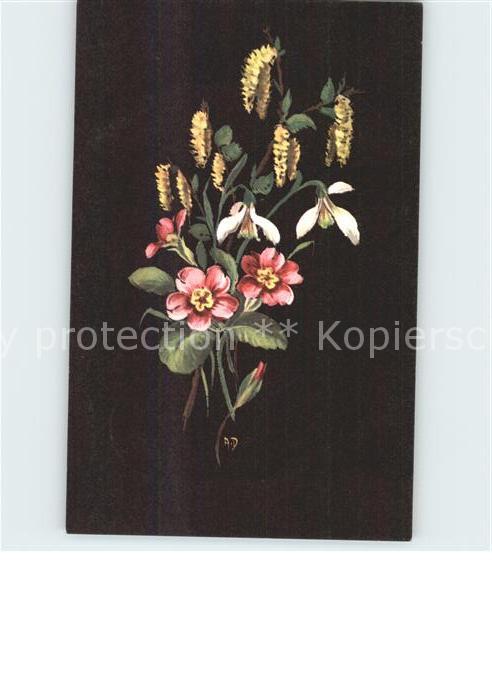 Blumen Schneeglöckchen Weidenkätzchen Primeln