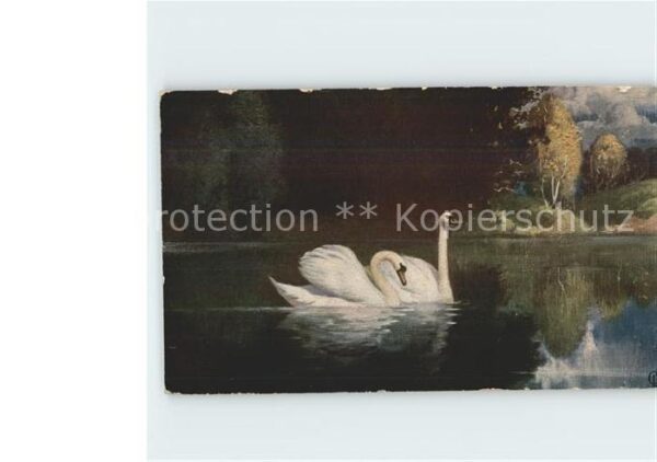 Kuenstlerkarte H.R. Schulze Schwäne Deutsche Kunst