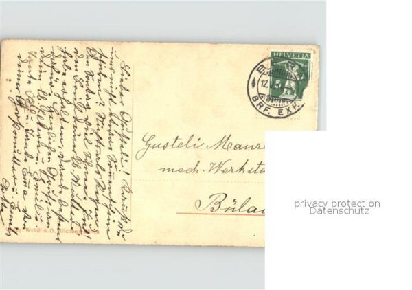 Baeren Bern Bärengraben – Bild 2
