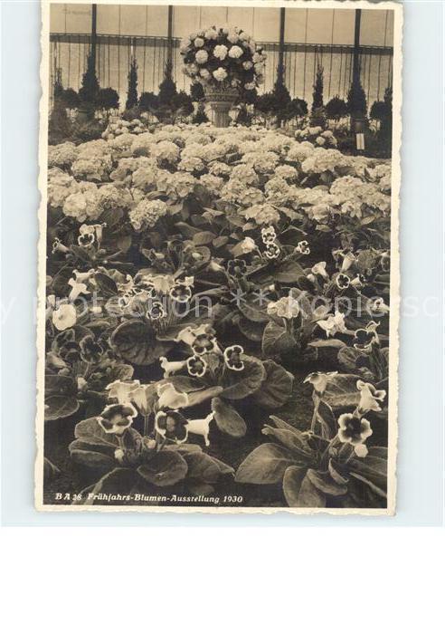 Ausstellung Frühjahrs-Blumen 1930 Zürich