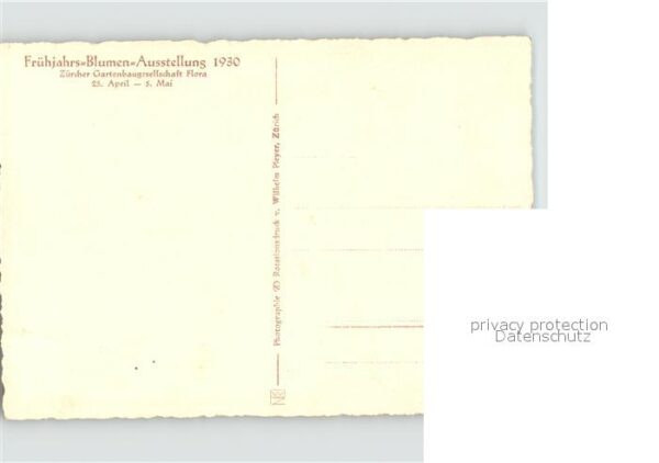 Ausstellung Frühjahrs-Blumen 1930 Zürich – Bild 2
