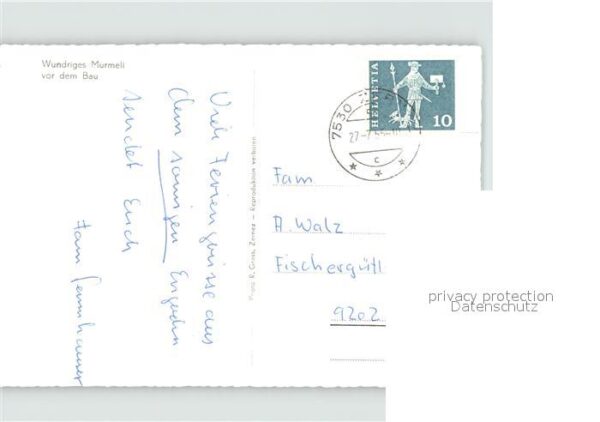 Murmeltier – Bild 2