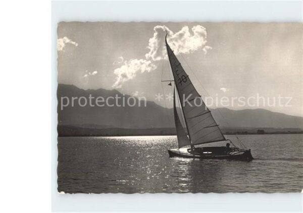 Segelboote Segeljolle T.Y.C. Thunersee