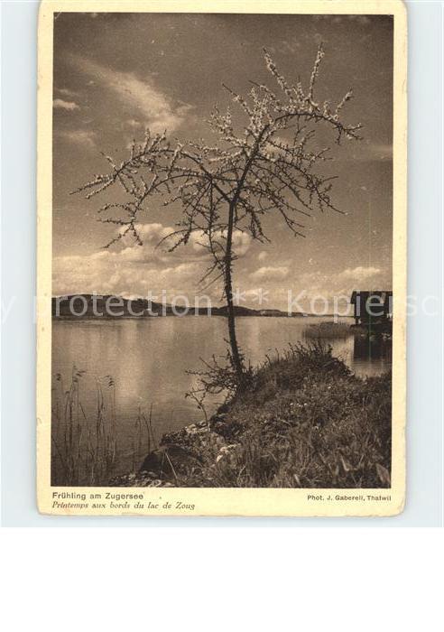 Foto Gaberell J. Nr. Frühling am Zugersee Spendekarte Alkoho