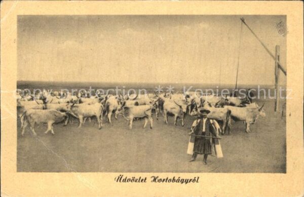 Hortobagy Üdvözlet Hortobagyrol