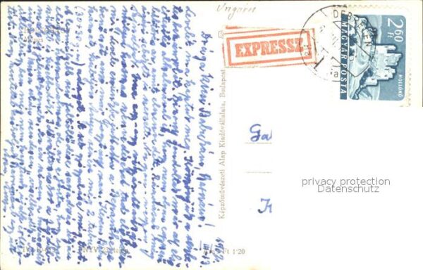 Hortobagy Menes – Bild 2