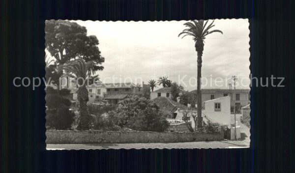 Tacoronte Alrededores de Santa Catalina