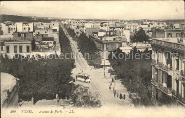 Tunis Avenue de Paris Tram