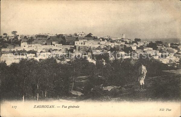 Zaghouan Vue generale