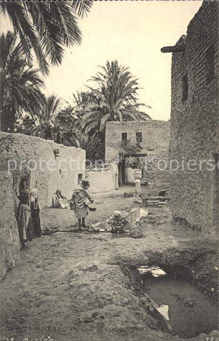 Biskra Un Coin de l'Oasis
