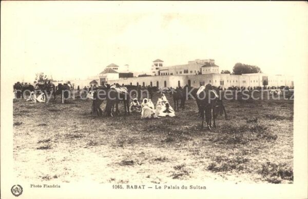 Rabat Marokko Palais du Sultan Chevaux