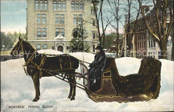 Montreal Quebec Typical Sleigh Pferdeschlitten