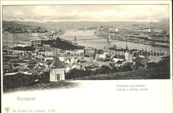 Budapest Total mit Schloss Donau