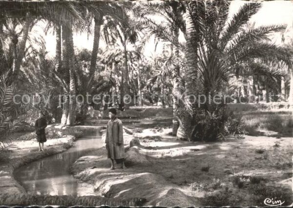 Biskra Palmiers Oasis