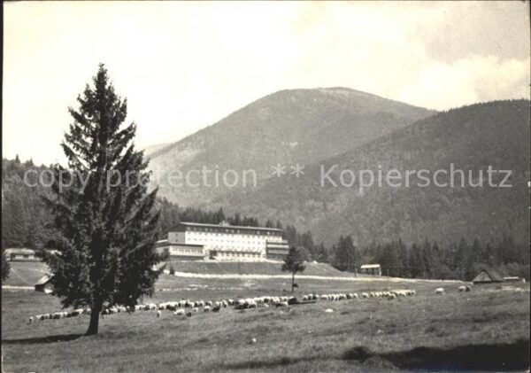 Nizke Tatry Hotel Partizan