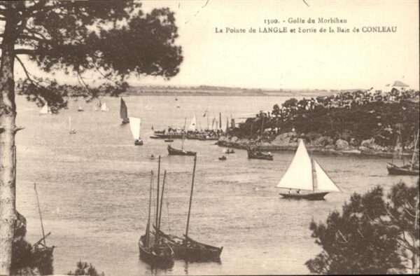 Vannes 56 Golfe du Morbihan Pointe de Langle Sort