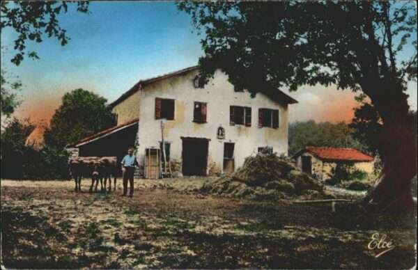 Bayonne 64 Pays Basque Ferme Basque