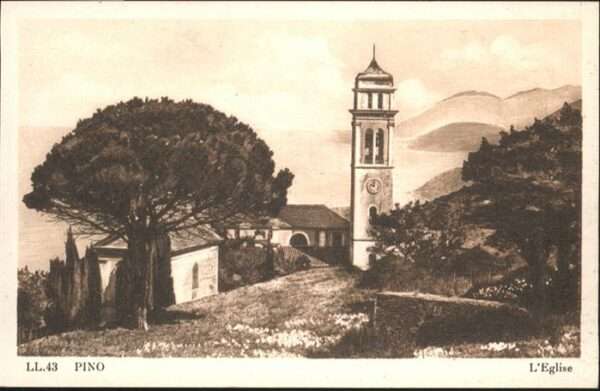 Pino Eglise